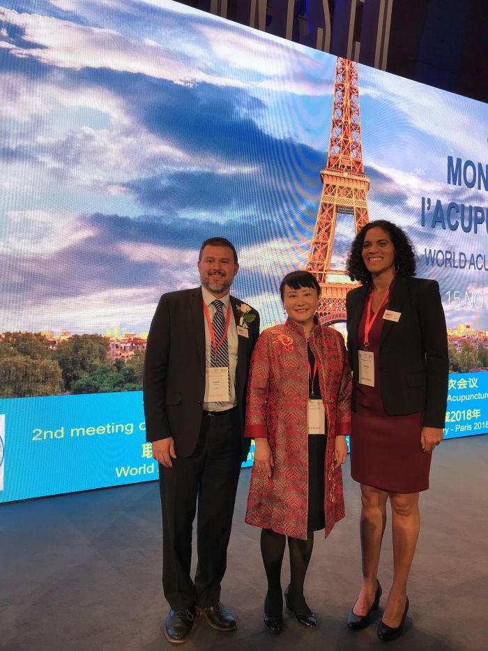 , Dr. Diana Tong Li Represents CCATCM and Canada at World Acupuncture Day in Paris